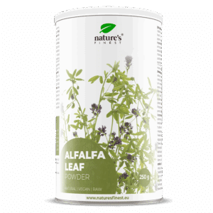 Alfalfa listi v prahu