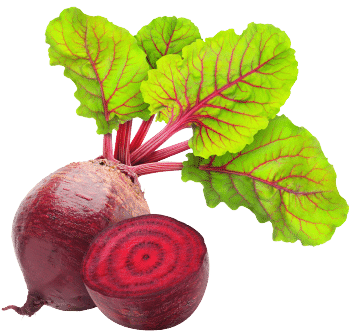 Beetroot