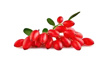 Rebersa ® (izvleček berberina)