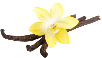 Vanilija in kokos v prahu