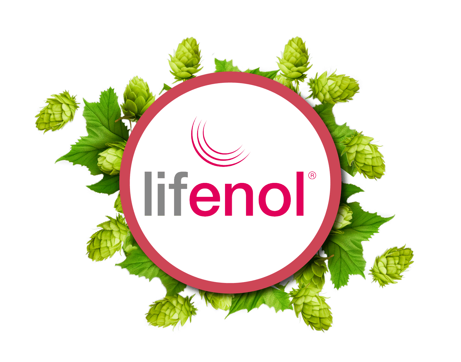 Slika možnosti izdelka