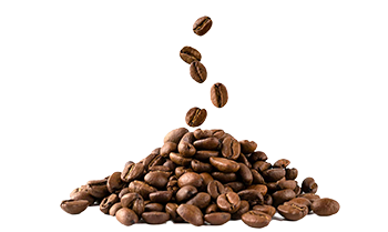 Instant kava (Coffea arabica L.)